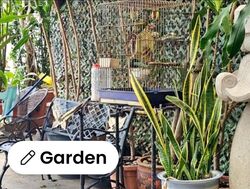 Toh Estate (D17), Terrace #497975581